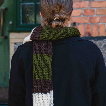 RTW - Stripy Scarf - Wool n Wonder